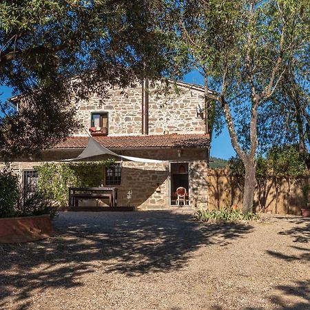 Vila Poggio Al Mandorlo Greve in Chianti Exteriér fotografie